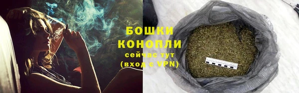 ГАЛЛЮЦИНОГЕННЫЕ ГРИБЫ Галич