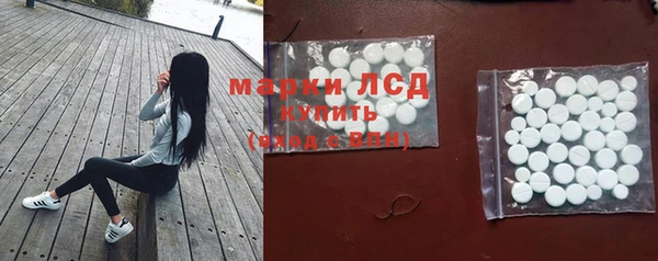 ГАЛЛЮЦИНОГЕННЫЕ ГРИБЫ Баксан