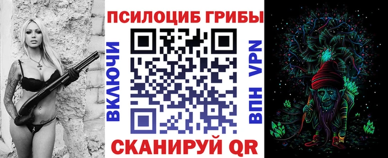 Псилоцибиновые грибы прущие грибы  Буинск 